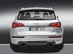 Audi Q5 by B&B 2009 года